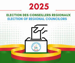 Cinq ans après leur mise en place, les conseils régionaux interrogent sur leur réelle capacité à impulser le développement local.