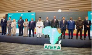 Transition énergétique : l’Afrique trace sa voie vers l’autonomie et l’inclusion