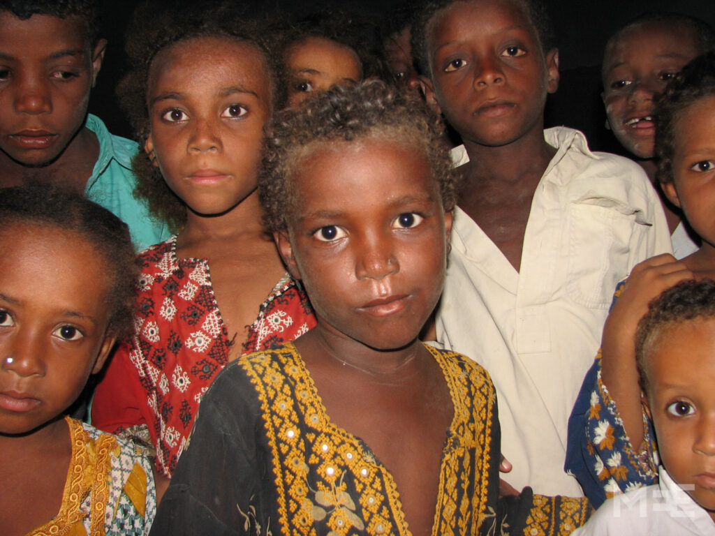 L’histoire des Afro-Iraniens s’inscrit dans une dynamique transocéanique longtemps marginalisée.