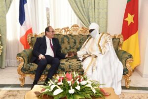 Cameroun–France : diplomatie parlementaire en action à la veille d’un tournant constitutionnel