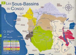 Bassin du Congo : la Banque mondiale injecte 394 millions de dollars pour transformer un géant forestier sous pression