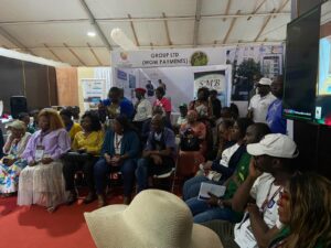 La bataille des diasporas africaines est lancée : la France repart à la conquête des marchés du continent