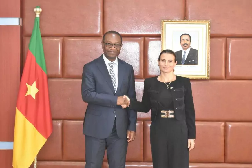 Elle intervient alors que le Cameroun cherche à renforcer son tissu productif et que l’Union européenne dispose déjà d’un important portefeuille d’instruments d’accompagnement.