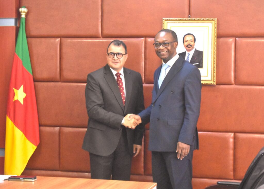 Pourquoi l'Égypte regarde vers le Cameroun