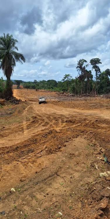 a montée en puissance du port en eau profonde de Kribi redessine progressivement la géographie logistique du Cameroun