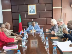 Cameroun : l’électricité un dossier stratégique pour le FMI 