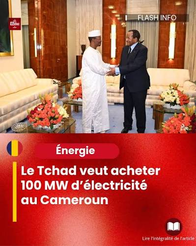 Dans l'électricité, le rapport s'inverse en partie : le Cameroun apporte une capacité de production et le Tchad devient un marché d'exportation.