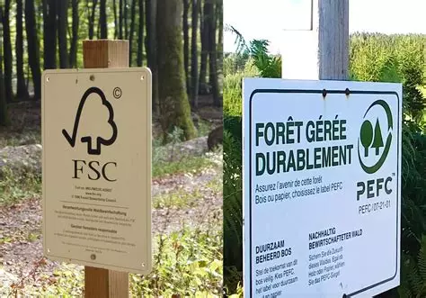 Traçabilité du bois : pourquoi la Douane camerounaise mise sur la certification forestière