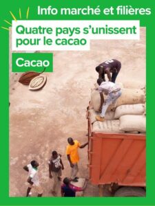 Cacao africain : l’Alliance d’Abuja veut rebattre les cartes face à Nestlé et Mars