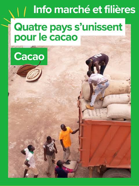 Le Cameroun, la Côte d’Ivoire, le Ghana et le Nigeria ont affiché à Abuja leur volonté de coordonner leurs stratégies pour mieux valoriser cette matière première.