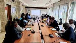 Electricité au Cameroun : l&rsquo;ARSEL et la Banque mondiale lancent des réformes de fond