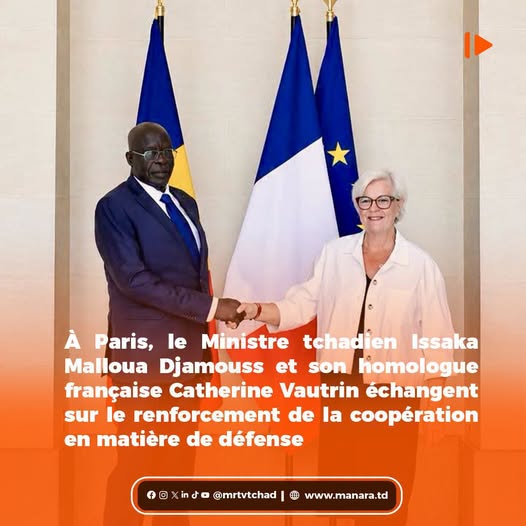 La rencontre s’inscrit dans le cadre de la visite du président tchadien Mahamat Idriss Déby Itno auprès d’Emmanuel Macron.